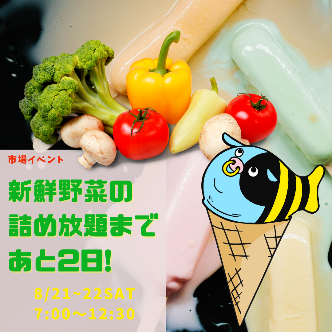 野菜の詰め放題イベント！ | 八王子総合卸売センター